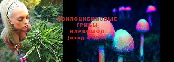 ГАЛЛЮЦИНОГЕННЫЕ ГРИБЫ Абаза