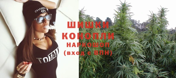 ГАЛЛЮЦИНОГЕННЫЕ ГРИБЫ Абаза