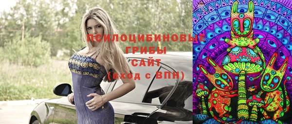 ГАЛЛЮЦИНОГЕННЫЕ ГРИБЫ Абаза