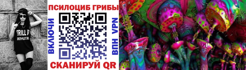 закладки  Абдулино  Псилоцибиновые грибы мицелий 